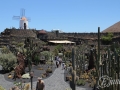 20120727-Lanzarote_1004.jpg