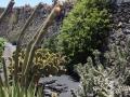 20120727-Lanzarote_1010.jpg