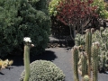 20120727-Lanzarote_1018.jpg