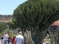 20120727-Lanzarote_1024.jpg