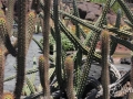 20120727-Lanzarote_1031.jpg