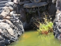 20120727-Lanzarote_1032.jpg
