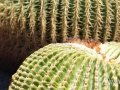 20120727-Lanzarote_1049.jpg