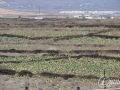 20120727-Lanzarote_1077.jpg