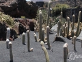 20120727-Lanzarote_1090.jpg