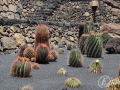 20120727-Lanzarote_1094.jpg