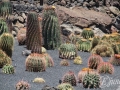 20120727-Lanzarote_1097.jpg