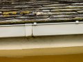 Lavandera blanca - Motacilla alba - Cuereta blanca