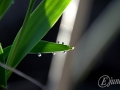 2015-04-11 07h45m14.jpg