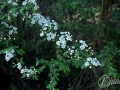 2015-04-11 07h50m06.jpg