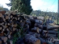 2015-04-11 08h09m32.jpg