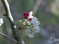 2015-04-11 08h16m20.jpg