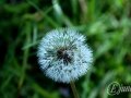 2015-04-11 08h30m11.jpg