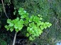 2015-04-11 08h54m41.jpg