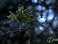2015-04-11 10h53m36.jpg