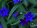2015-04-11 11h15m23.jpg