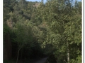 20140510-L'Ovac Vell_04.jpg