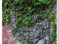 20140510-L'Ovac Vell_07.jpg