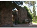 20140510-L'Ovac Vell_11.jpg