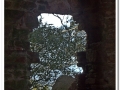 20140510-L'Ovac Vell_21.jpg