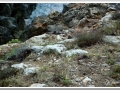 20130908-Cala Blanca_07.jpg
