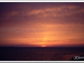 20130908-Cala Blanca_20.jpg