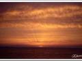 20130908-Cala Blanca_21.jpg