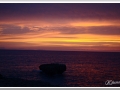20130908-Cala Blanca_26.jpg