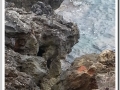 20130908b-Cala en Brut_09.jpg
