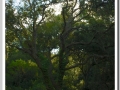 20130906a-Cala en Turqueta_02.jpg