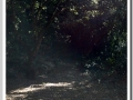 20130906a-Cala en Turqueta_04.jpg