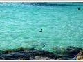 20130906a-Cala en Turqueta_16.jpg