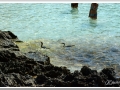 20130906a-Cala en Turqueta_19.jpg