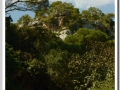 20130905-Cala Macarella_22.jpg
