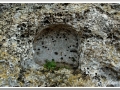 20130908a-Coves de Cala Morell_10.jpg