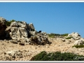 20130903-Cap de Cavalleria_02.jpg