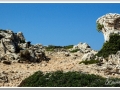 20130903-Cap de Cavalleria_03.jpg