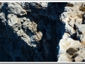 20130903-Cap de Cavalleria_12.jpg