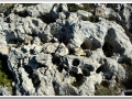 20130903-Cap de Cavalleria_18.jpg
