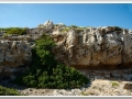 20130903-Cap de Cavalleria_21.jpg