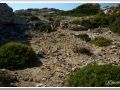 20130903-Cap de Cavalleria_22.jpg