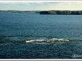 20130906-Cap de Favàritx_06.jpg