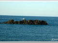 20130906-Cap de Favàritx_13.jpg