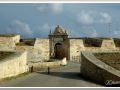 20130907-La Mola_01.jpg