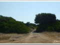20130905-Naveta des Tudons_05.jpg
