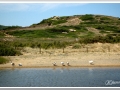 20130904-Platja de Binimela_08