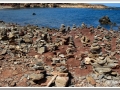20130904-Platja de Binimela_12