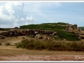 20130904-Platja de Binimela_16