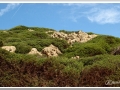 20130904-Platja de Binimela_19