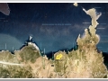 20130904-Platja de Binimela_26
